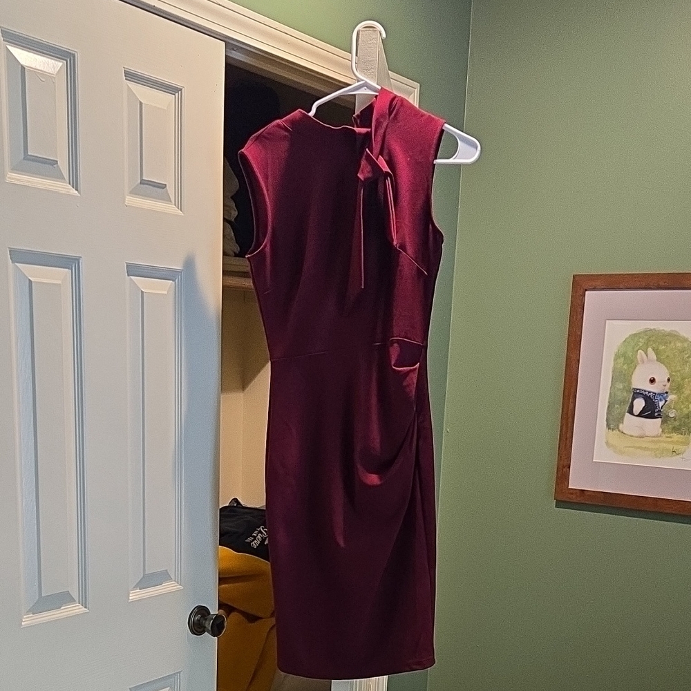 Elegant Burgundy Sleeveless Dress